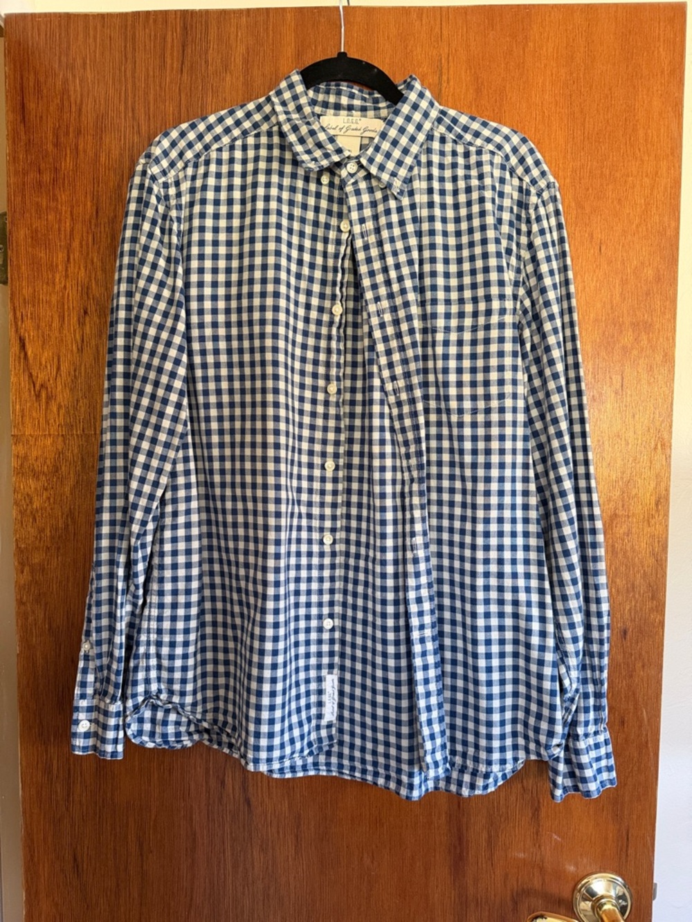 Men's Blue and White Gingham Button-Up Shirt